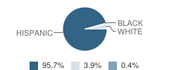 El Paso Academy Student Race Distribution