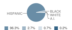 El Paso School of Excellence Student Race Distribution