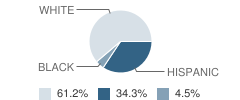 Paradigm Accelerated School Student Race Distribution