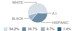 Big Springs Charter School Student Race Distribution