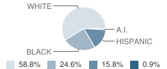 Azleway Charter School Student Race Distribution