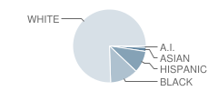 Fort Worth Academy of Fine Arts Student Race Distribution