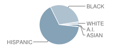 Austin Can Academy Charter School Student Race Distribution