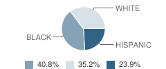 Center for Alternative Learning School Student Race Distribution