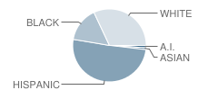 Johnston Elementary School Student Race Distribution