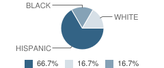 Brazoria County Juvenile Justice Alternative Education Program (Jjaep) School Student Race Distribution