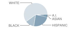 Coronado Elementary School Student Race Distribution