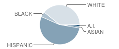 Oak Dale Elementary School Student Race Distribution