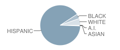 Sanborn Elementary School Student Race Distribution