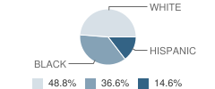 Homebound School Student Race Distribution