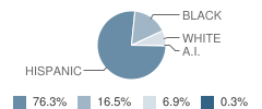 Knox Elementary School Student Race Distribution