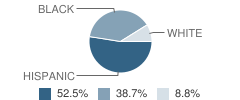 Alternative Learning Center School Student Race Distribution