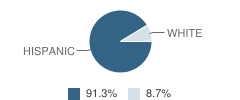 Learning Resource Center School Student Race Distribution