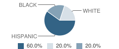 Bell County Juvenile Justice Alternative Education Program (Jjaep) School Student Race Distribution