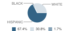 Brackett High School Student Race Distribution