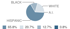 Jane Long Elementary School Student Race Distribution