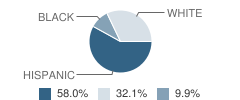 Lighthouse Learning Center - Aec School Student Race Distribution