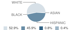 Canadian Elementary School Student Race Distribution