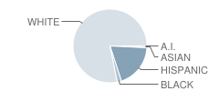 Gene Howe Elementary School Student Race Distribution