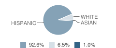 Carrizo Springs Intermediate School Student Race Distribution
