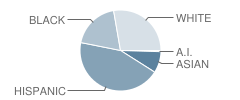 Smith High School Student Race Distribution