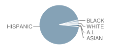 Horizon High School Student Race Distribution