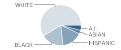 Crossroads High School Student Race Distribution