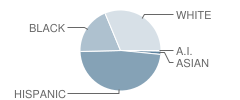 Drane Intermediate School Student Race Distribution