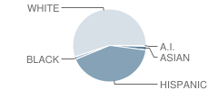 Allyn Finch Intermediate School Student Race Distribution