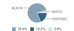 Seagoville Alternative Center School Student Race Distribution