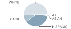 Ginnings Elementary School Student Race Distribution