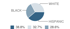 Lester Davis School Student Race Distribution