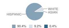 Dilley Elementary School Student Race Distribution