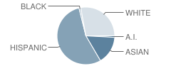 Morningside Elementary School Student Race Distribution