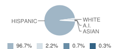 Dena Kelso Graves Elementary School Student Race Distribution