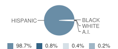 Ray H Darr Elementary School Student Race Distribution
