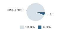 Daep School Student Race Distribution