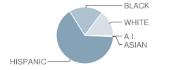 El Magnet at Hays School Student Race Distribution
