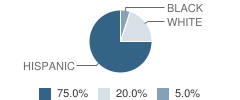 P A C School Student Race Distribution