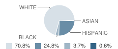 Elbow Elementary School Student Race Distribution