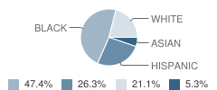 Insights Learning Center School Student Race Distribution