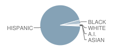 Mg Ellis School Student Race Distribution