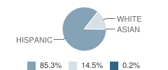 Alamo Elementary School Student Race Distribution