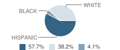 Grandfalls-Royalty School Student Race Distribution