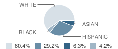 The Bridges Academy Alternative Student Race Distribution