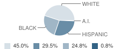 New Horizons Learning Center School Student Race Distribution