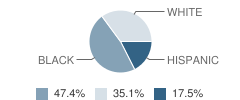 Greenville Alternative Educational School Student Race Distribution