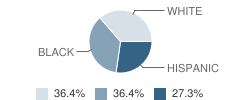 Alternative Learning Center School Student Race Distribution