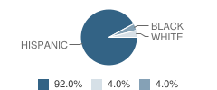 Hac Disciplinary Alternative Education Program High School Student Race Distribution