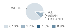 Harmony High School Student Race Distribution